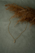 Gold Star Zircon Necklace