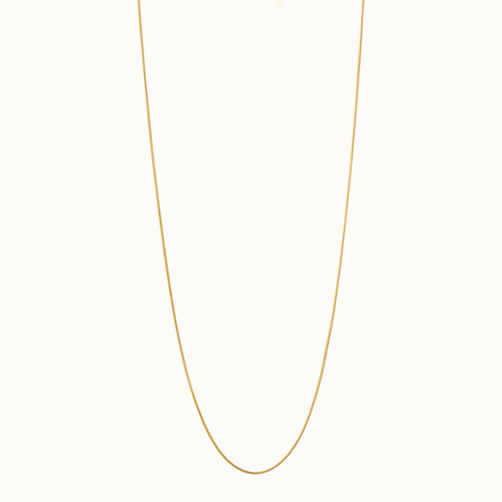 Gold Delicate Chain Necklace