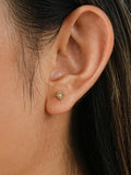 Gold Star Zircon Stud Earrings